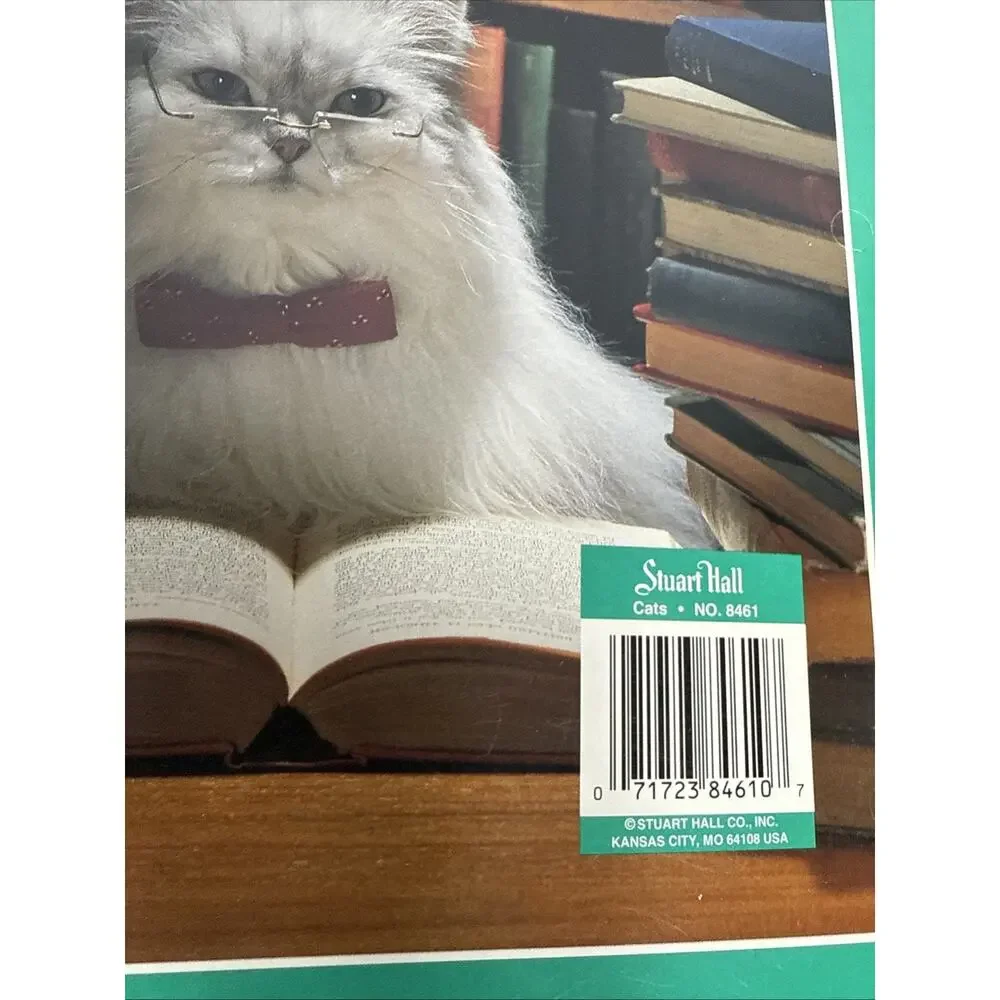 Vintage Stuart Hall Folder Lot Cats in School Unpunched Excellent Cond 1993 NOS